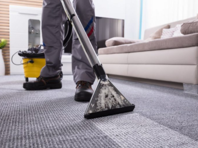 How to Dry Wet Carpet Fast and Prevent Mold.
